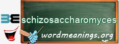 WordMeaning blackboard for schizosaccharomyces